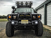 Road Armor FJ801B Stealth Winch Front Bumper; Titan II Guard; Satin Black; - Truck Part Superstore