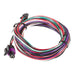 AutoMeter P19320 WIRE HARNESS; BOOST/VAC-BOOST; SPEK-PRO; REPLACEMENT - Truck Part Superstore