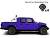 Black Horse Off Road RB09SS-PLB Stainless Steel Stainless Steel - Truck Part Superstore