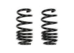 Lakewood RK200-10 Rekudo Coil Spring Set; 1 in. Lower; Black Finish; - Truck Part Superstore