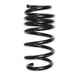 Lakewood RK200-10 Rekudo Coil Spring Set; 1 in. Lower; Black Finish; - Truck Part Superstore