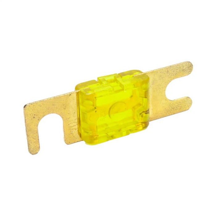 Nitrous Express SNF-25012 Fuse; 100 Amp; - Truck Part Superstore