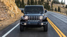 Black Horse Off Road TFFJL1 Tubular Front Fender Flares - Truck Part Superstore