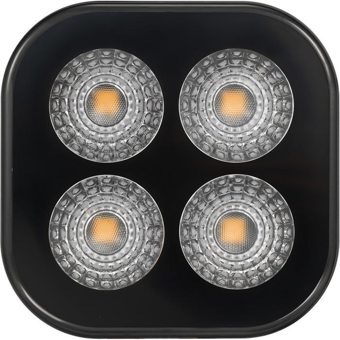 Vision X Lighting 9936482 UNITE 12 WATT AMBER 4 LED BLACK OUT FLOOD - Truck Part Superstore