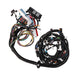Top Street Performance WH1210 Standalone Wiring Harness; LS1 Drive by Wire with T56 Manual - Truck Part Superstore