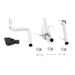 Mishimoto MMEXH-FIST-14BK Ford Fiesta ST Cat-Back Exhaust, 2014-2019 Black Tips - Truck Part Superstore