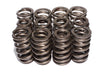 COMP Cams 26915-12 Engine Valve Spring Kit - Truck Part Superstore