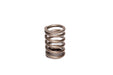 COMP Cams 906-1 VALVE SPRINGS, FORD 2800CC - Truck Part Superstore