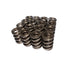 COMP Cams 26099-16 Engine Valve Spring Kit - Truck Part Superstore