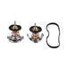 Mishimoto MMTS-F2D-08L Ford 6.4L Powerstroke Low-Temperature Thermostats (set of 2), 2008-2010 - Truck Part Superstore