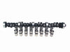 COMP Cams CL31-334-4 Magnum/Magnum Muscle 236/236 Solid Flat Cam and Lifter Kit for Ford 221-302 - Truck Part Superstore