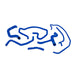 Mishimoto MMHOSE-SVT-02BL Ford Focus SVT Silicone Hose Kit, 2002-2004, Blue - Truck Part Superstore