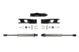 Fabtech FTS8065 Steering Stabilizer Kit; Dual; DLSS; - Truck Part Superstore