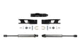Fabtech FTS8065 Steering Stabilizer Kit; Dual; DLSS; - Truck Part Superstore