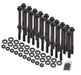 Earl's Performance HBS-002ERL Head Bolt Set; Incl. Head Bolts/Washers/Anti-Seize Lubricant; - Truck Part Superstore