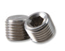 Earl's Performance SS593202ERL Stainless Steel NPT Plug - Truck Part Superstore