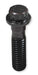 Earl's Performance TBS-003ERL Head Bolt Set; Incl. Head Bolts/Washers/Anti-Seize Lubricant; 12 Pt. Head; - Truck Part Superstore